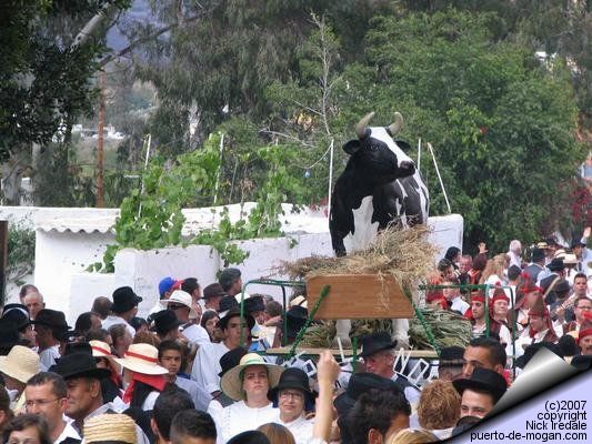 Mogan fiesta photo