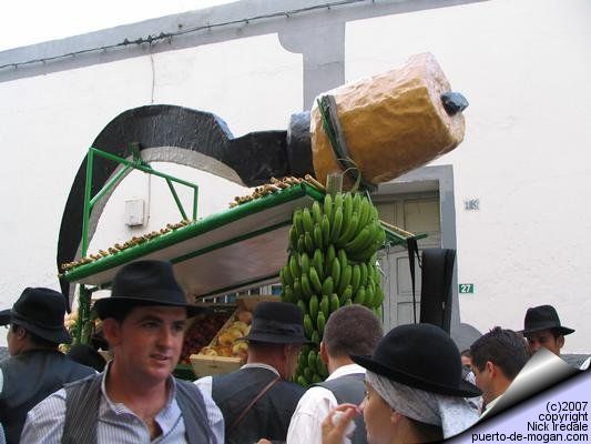Mogan fiesta photo