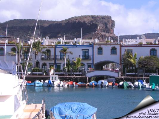 Mogan fiesta photo