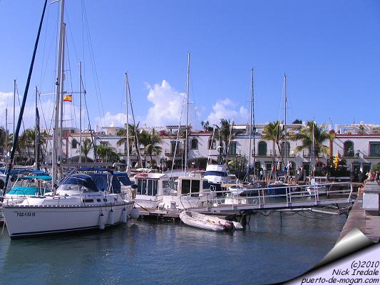 Mogan fiesta photo