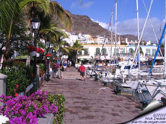 Mogan fiesta photo