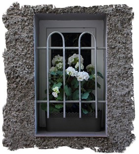 A tiny window box!